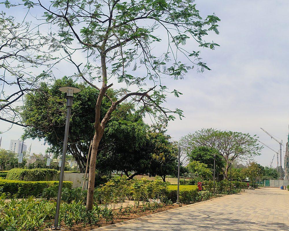 Tree-lined walkway through the gardens of Vatika Seven Elements (actual image)